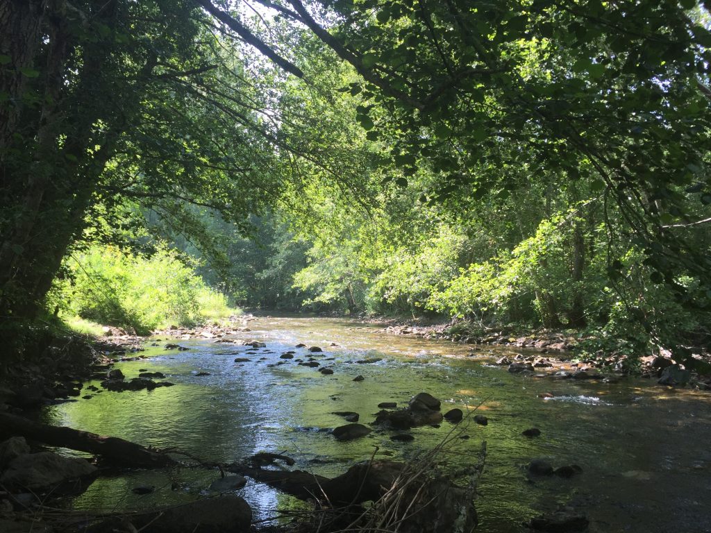 Full Guide to Hiking with Kids in Madrid