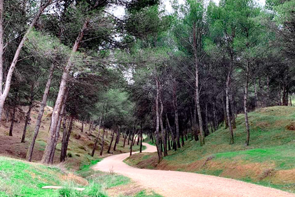 Hiking with kids in Los Cerros de Alcala