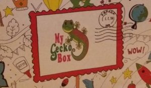 my grecko box kids in madrid