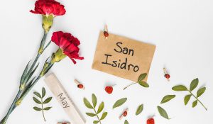 San isidro in Madrid for beginners