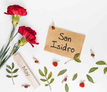 San Isidro in Madrid for beginners: “Mantoncillos, claveles y chotis”