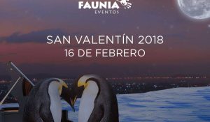 St Valentine's Day at Faunia