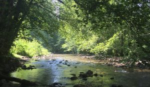 Full Guide to Hiking with Kids in Madrid