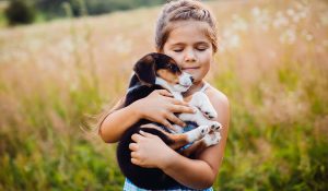 Volunteer opportunities with animal organizations in Madrid