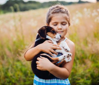 Volunteer opportunities with animal organizations in Madrid